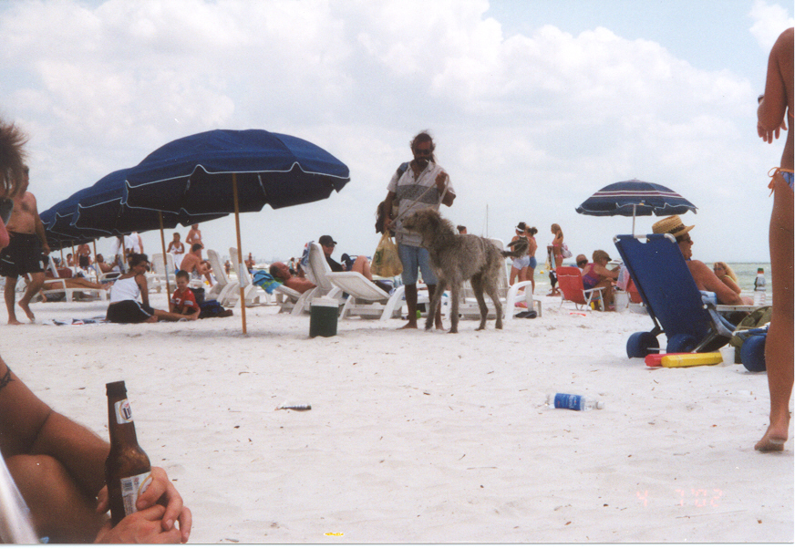 ./Ragtime/42 - Ft Myers FL Apr 05 to Apr 08/picture1.jpg